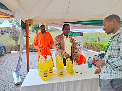 Explaining to a potential the process of manufacturing cooking oli from sunflower seeds