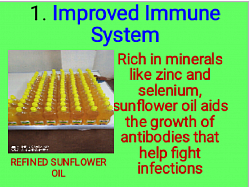 Sunflower oil increases immunity