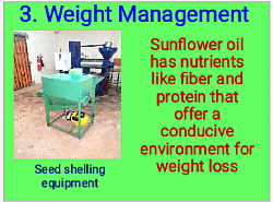 Sunflower oil help mitigate obesity